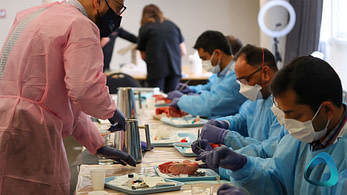 dental-implant-pig-jaws-course
