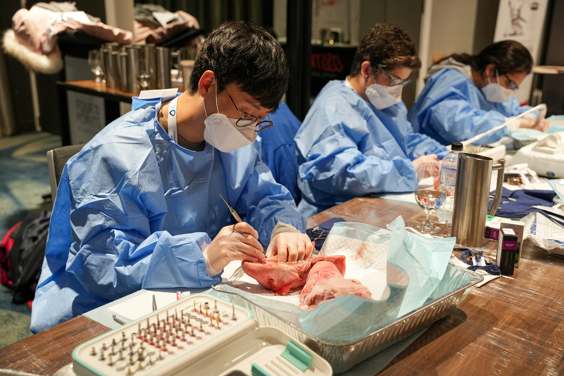 Hands on IIDF Pig jaw