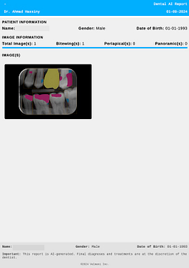 velmeni-second-dentist-ai-review-blog-idd-institute-of-digital-dentistry-generated-report-overview