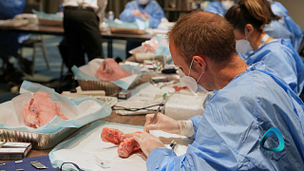 student-hands-on-intro-to-implant-surgery-course-new-zealand-auckland-iidf