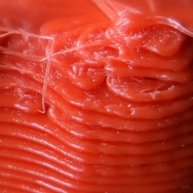 FDM printer dental model (4)