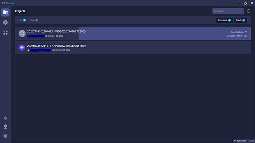 Rayteams Download Feature