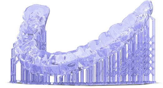 flex-models-e1622738625830