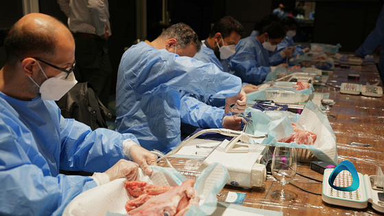student-hands-on-intro-to-implant-surgery-course-new-zealand-auckland-iidf