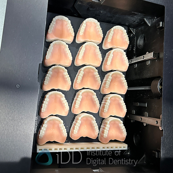 chicago_mid_winter_Lab_Day_LMT_202534