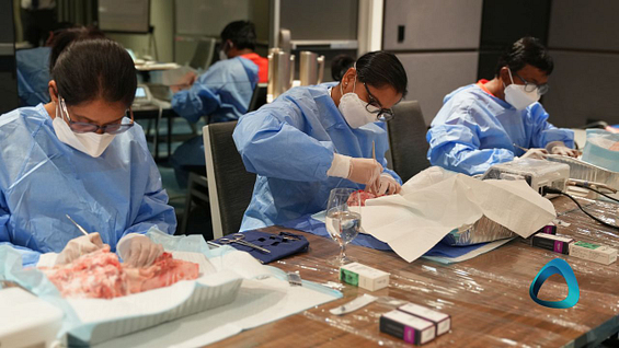 student-hands-on-intro-to-implant-surgery-course-new-zealand-auckland-iidf
