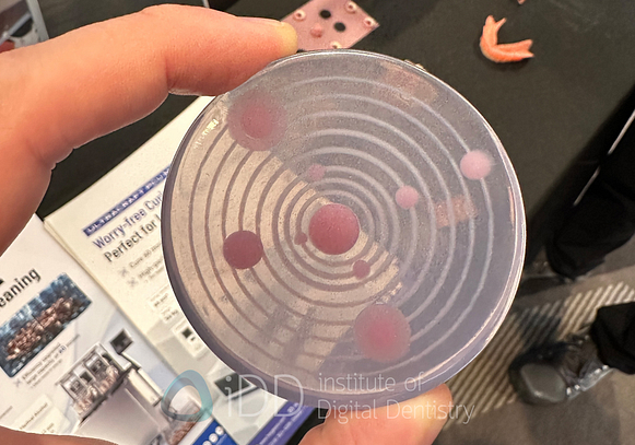 chicago_mid_winter_Lab_Day_LMT_202510