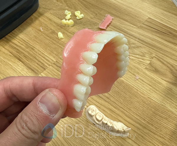 chicago_mid_winter_Lab_Day_LMT_202517