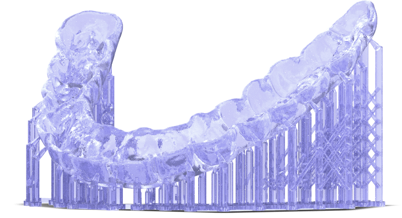 flex-models-e1622738625830