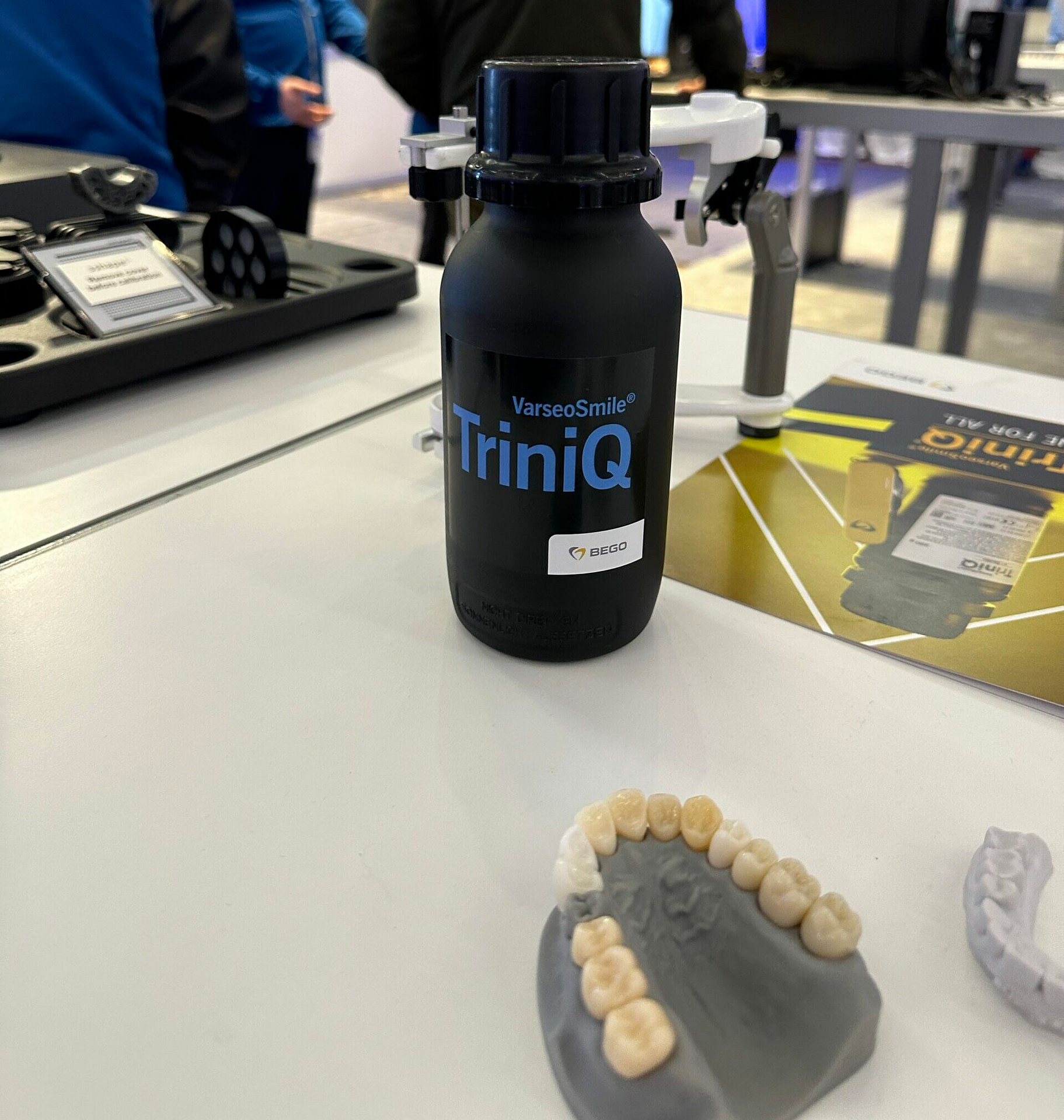 Bego_TriniQ_IMG_6318
