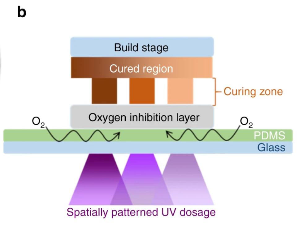 oxygen-inhibition-layer-diagram-idd-institute-of-digital-dentistry-blog
