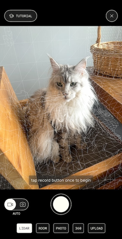 polycam_dental_scanner