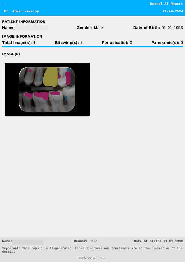 velmeni-second-dentist-ai-review-blog-idd-institute-of-digital-dentistry-generated-report-overview