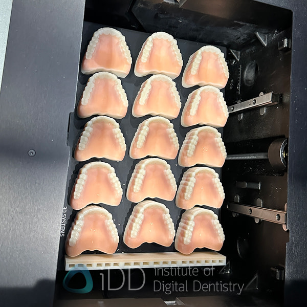 chicago_mid_winter_Lab_Day_LMT_202534