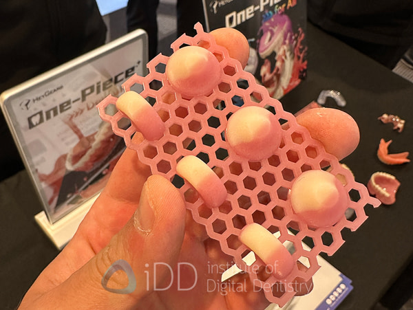 chicago_mid_winter_Lab_Day_LMT_20259